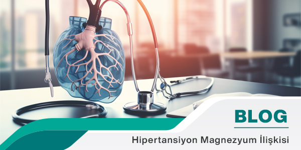 Hipertansiyon Magnezyum İlişkisi