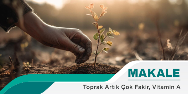 Toprak Artık Çok Fakir: A Vitamini